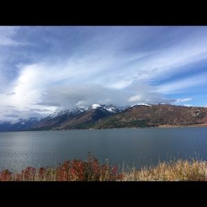 Meet your Posher, Natalie